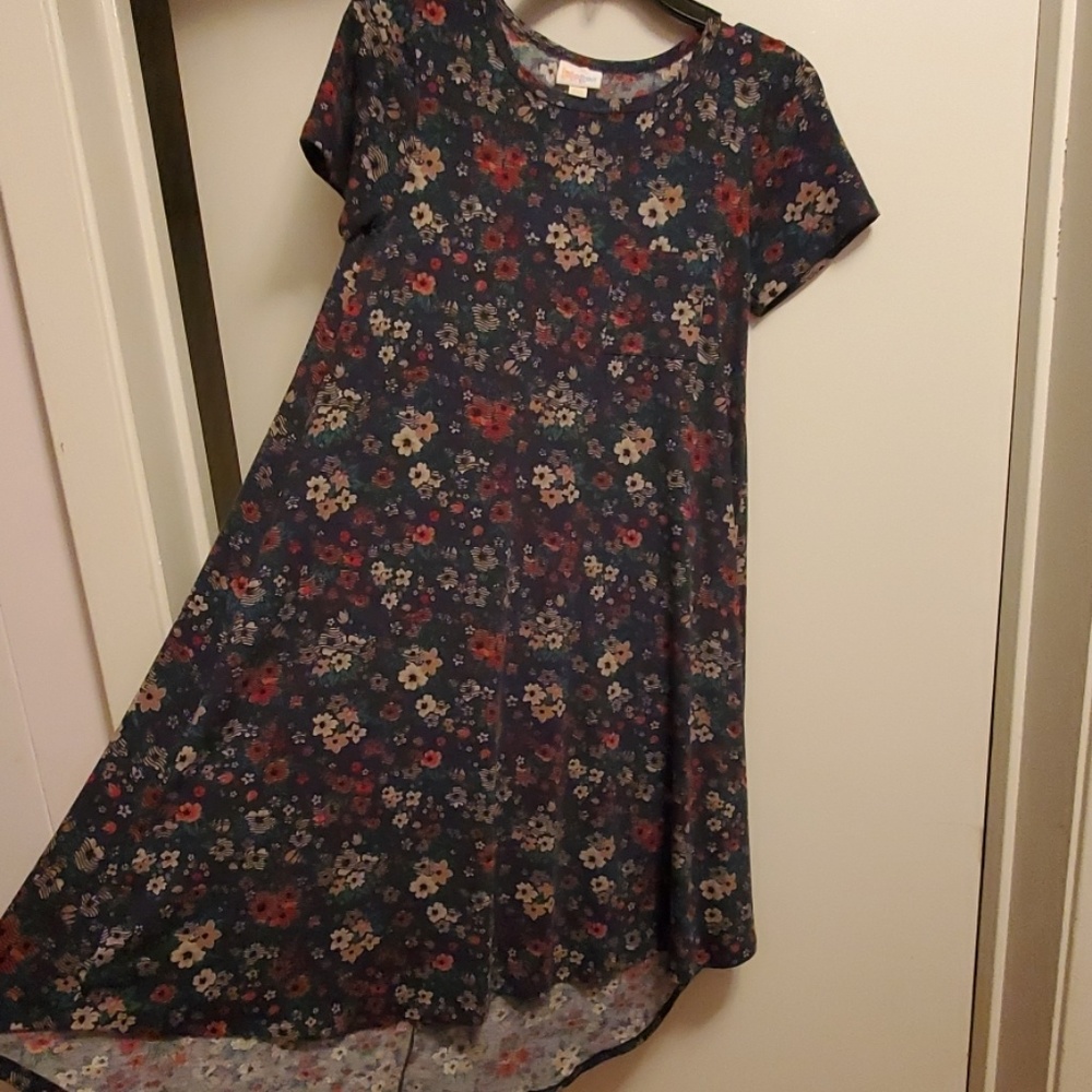 LuLaRoe High Low dress
